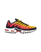 Nike Pantofi Air Max Plus