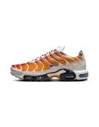 Nike Pantofi Air Max Plus One Block Down Chutney