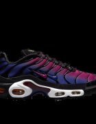 Nike Pantofi Air Max Plus Patta FC Barcelona Culers del Món