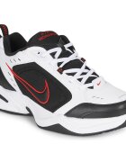 Nike Pantofi AIR MONARCH IV