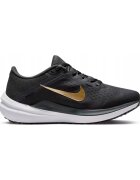 Nike Pantofi Air Winflo 10