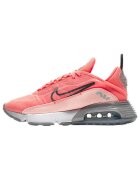 Nike Pantofi Baskets Air Max 2090 synthétique