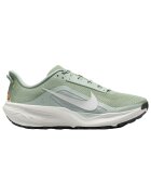 Nike Pantofi Chaussures de running acg pegasus trail maille respirante