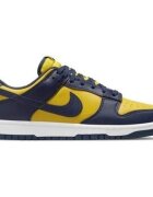 Nike Pantofi Dunk Low