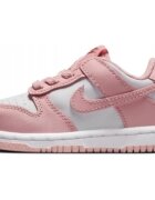 Nike Pantofi HV0929100