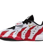 Nike Pantofi LeBron 21 Prime 96