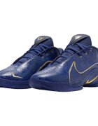 Nike Pantofi LeBron 22 Monopoly Deep Royal Blue