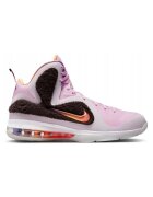 Nike Pantofi LeBron 9