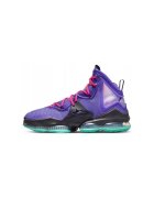 Nike Pantofi Lebron Xix