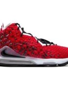 Nike Pantofi Lebron Xvii