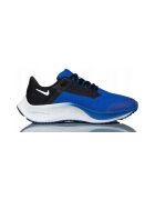 Nike Pantofi Pegasus