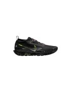 Nike Pantofi Pegasus Trail 5 GORE-TEX (Men)
