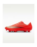 Nike Pantofi Vapor 17 Academy