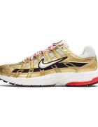 Nike Pantofi Wmns P6000