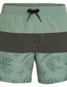 O'Neill Îmbracaminte Short de bain Mix Match Cali Block 15''