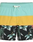 O'Neill Îmbracaminte Shorts de bain Mix match Cali Block multicolore