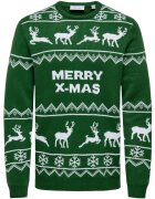 Only & Sons Îmbracaminte ONSXMAS REG 5 ALLOVER CREW KNIT 22031171