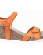 Panama Jack Pantofi Julia