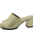 Piesanto Pantofi 230262