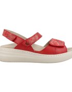 Pinoso's Pantofi 8170p