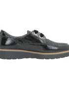 Pitillos Pantofi 11555p Blucher Cordon