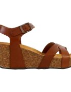 Plakton Pantofi 250406