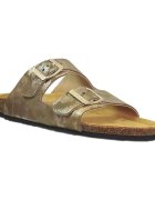 Plakton Pantofi Beta