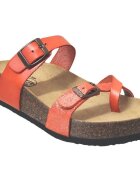 Plakton Pantofi Cp bombay