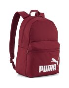 Puma Genti Phase