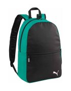 Puma Genti Teamgoal