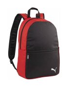 Puma Genti Teamgoal