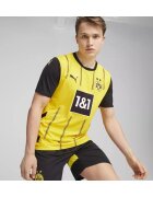 Puma Îmbracaminte Bvb Home