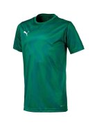 Puma Îmbracaminte Cup