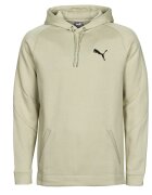 Puma Îmbracaminte DAY IN MOTION HOODIE DK