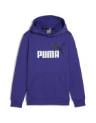 Puma Îmbracaminte ESS+ 2 COL BIG LOGO HOODIE FL