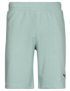 Puma Îmbracaminte ESS 2 COLOR LOGO SHORT