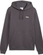 Puma Îmbracaminte Ess 2 Color Small No. 1 Logo Hoodie Fl
