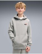Puma Îmbracaminte Ess 2 Color Small No. 1 Logo Hoodie Fl B