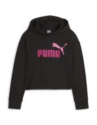 Puma Îmbracaminte ESS 2COLOR HOODIE