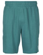 Puma Îmbracaminte ESS ELEVATED Relaxed Shorts 9'