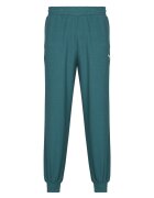 Puma Îmbracaminte ESS ELEVATED Sweatpants TR cl