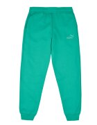 Puma Îmbracaminte ESS No.1 Logo Sweatpants FL