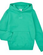 Puma Îmbracaminte ESS Small No.1 Logo Centered Hoodie FL