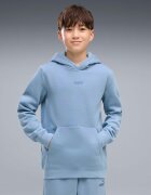 Puma Îmbracaminte Ess Small No.1 Logo Centered Hoodie Fl B