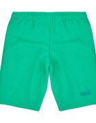 Puma Îmbracaminte ESS Small No.1 Logo Shorts TR