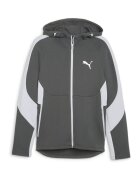 Puma Îmbracaminte Evostripe