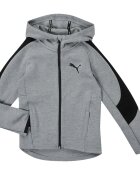 Puma Îmbracaminte EVOSTRIPE CORE FZ HOODIE