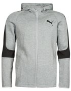 Puma Îmbracaminte EVOSTRIPE CORE FZ HOODIE