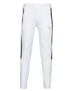 Puma Îmbracaminte EVOSTRIPE PANTS