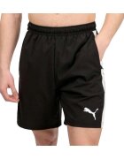 Puma Îmbracaminte Short TeamLiga confortable et performant